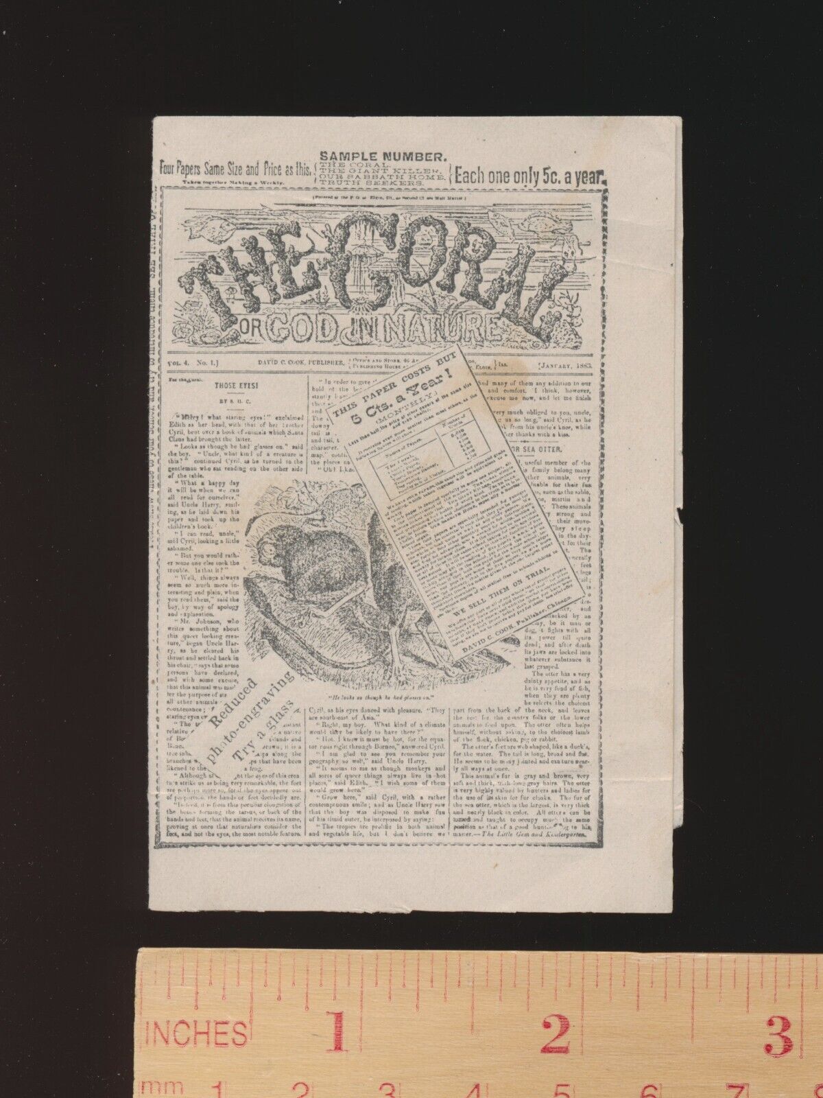 Antique 1883 The Coral Miniature Sample Advertising Newspaper Elgin, Illinois