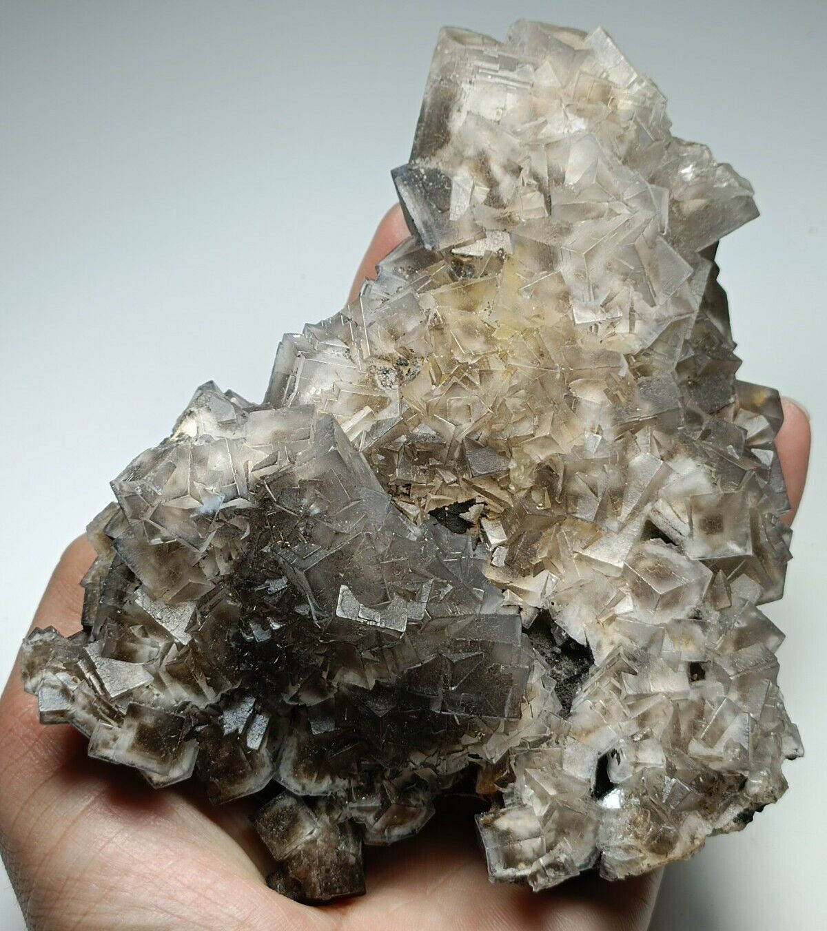 650g Natural Cubic Purplish Fluorite Crystals on matrix, beautiful specimen- Pak