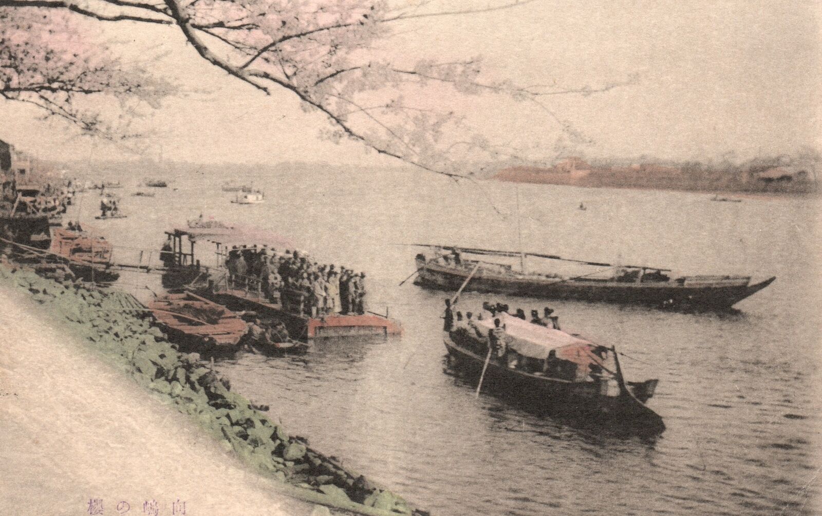 Japan, 1909 Japanese River Boats Cherry Blossoms JPN Vintage Postcard