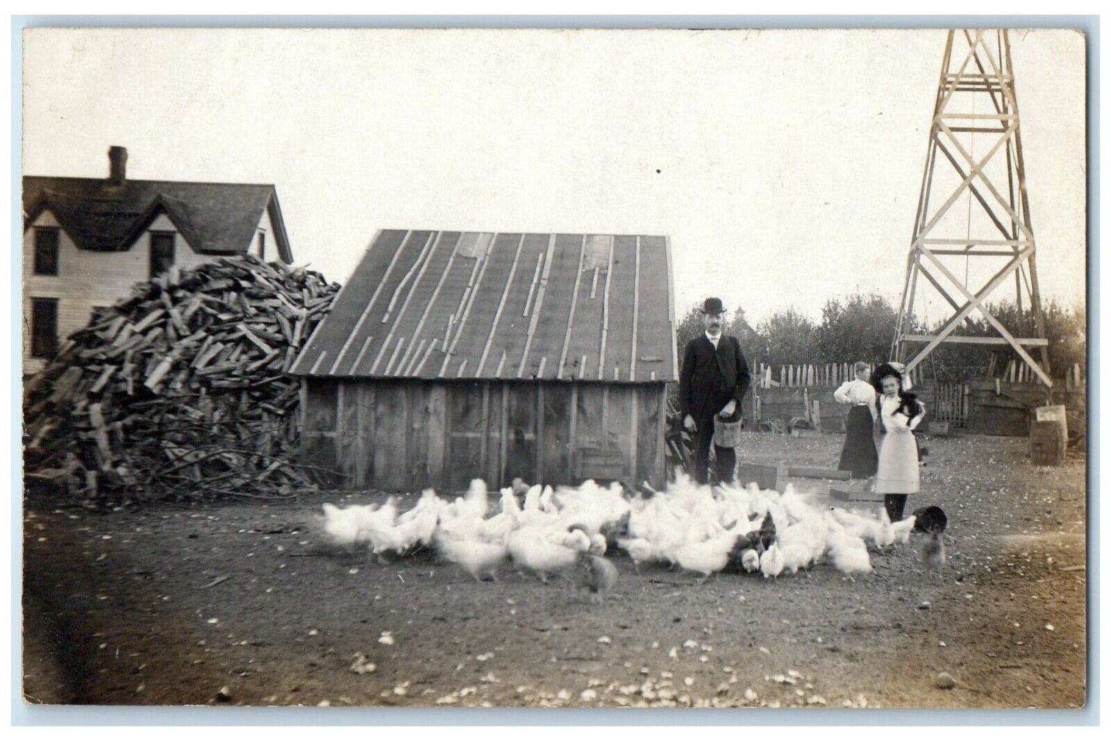 c1910's Girl Feeding Chickens On Farm With Dog RPPC Photo Antique Postcard