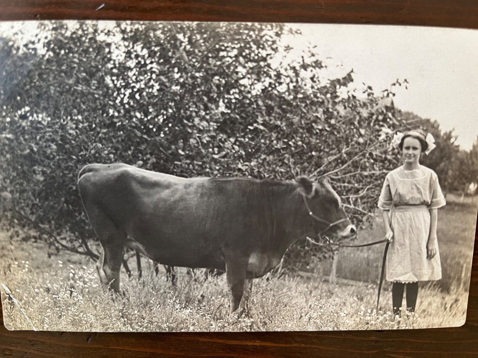 Antique RPPC Young Girl Leading a Cow Photo Postcard