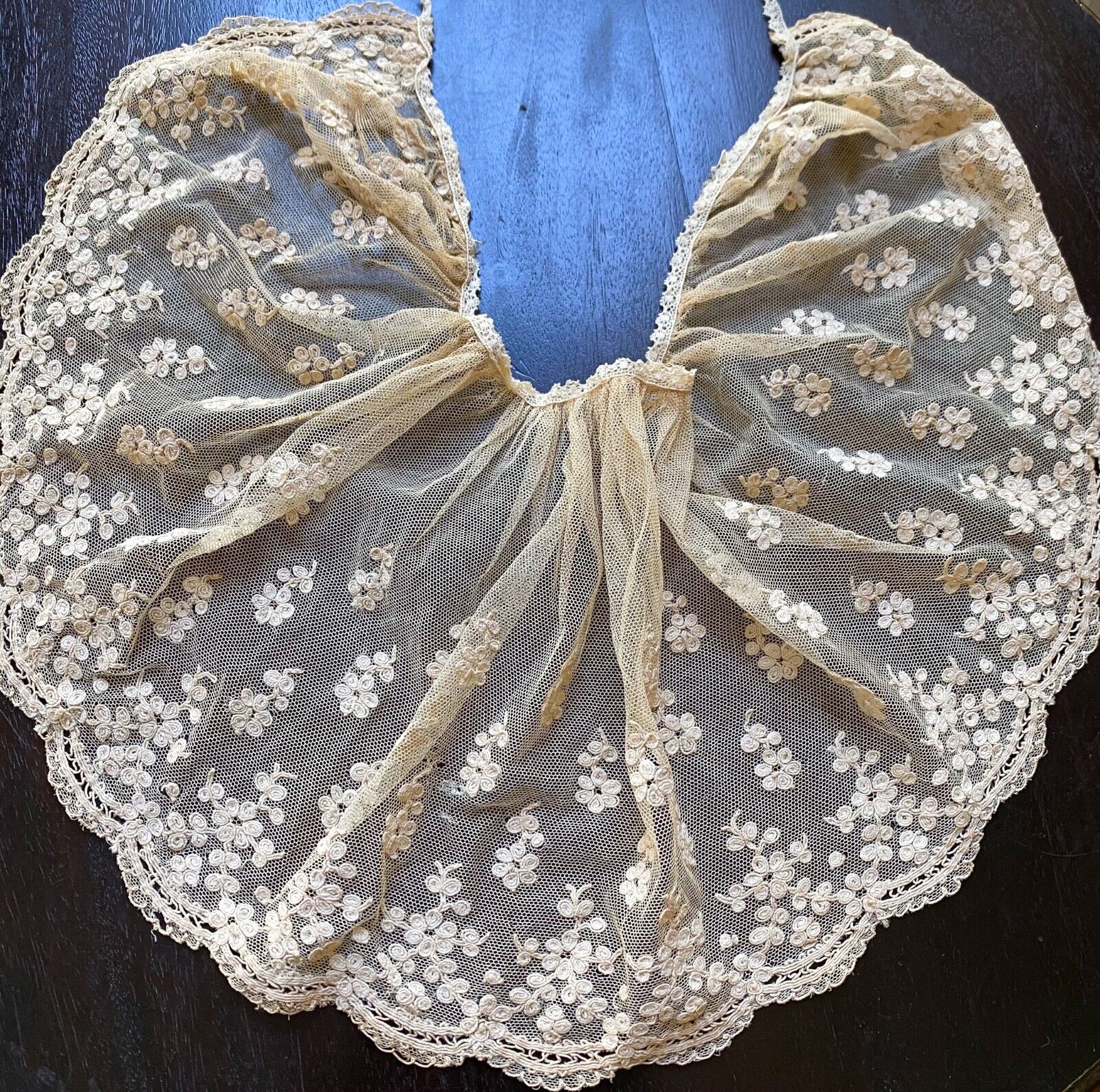 Antique French Net Tambour Lace Wide Dress Collar Flounce Needle Lace Trim Edge
