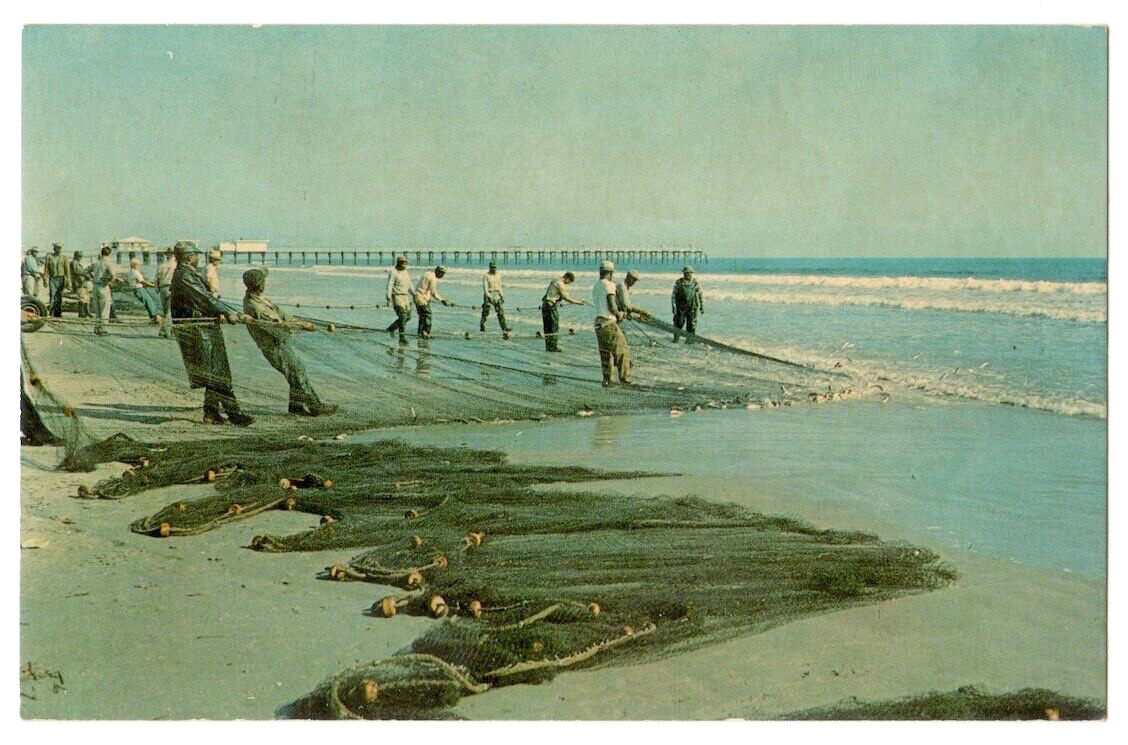 South Carolina Coast c1950\'s Seine Fishing on the beach