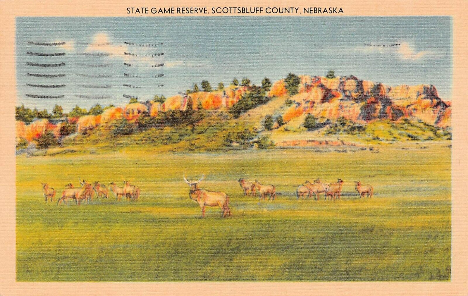Scottsbluff NE Nebraska North Platte National Wildlife Refuge Vtg Postcard Y10