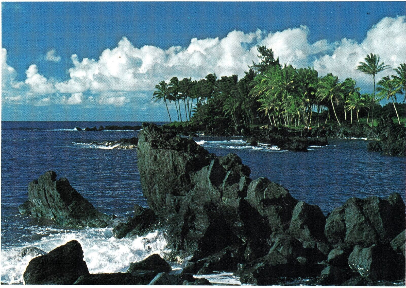 CONTINENTAL SIZE POSTCARD ONE OF THE MANY FACES OF MAUI\'S BEAUTIFUL SHORELINE