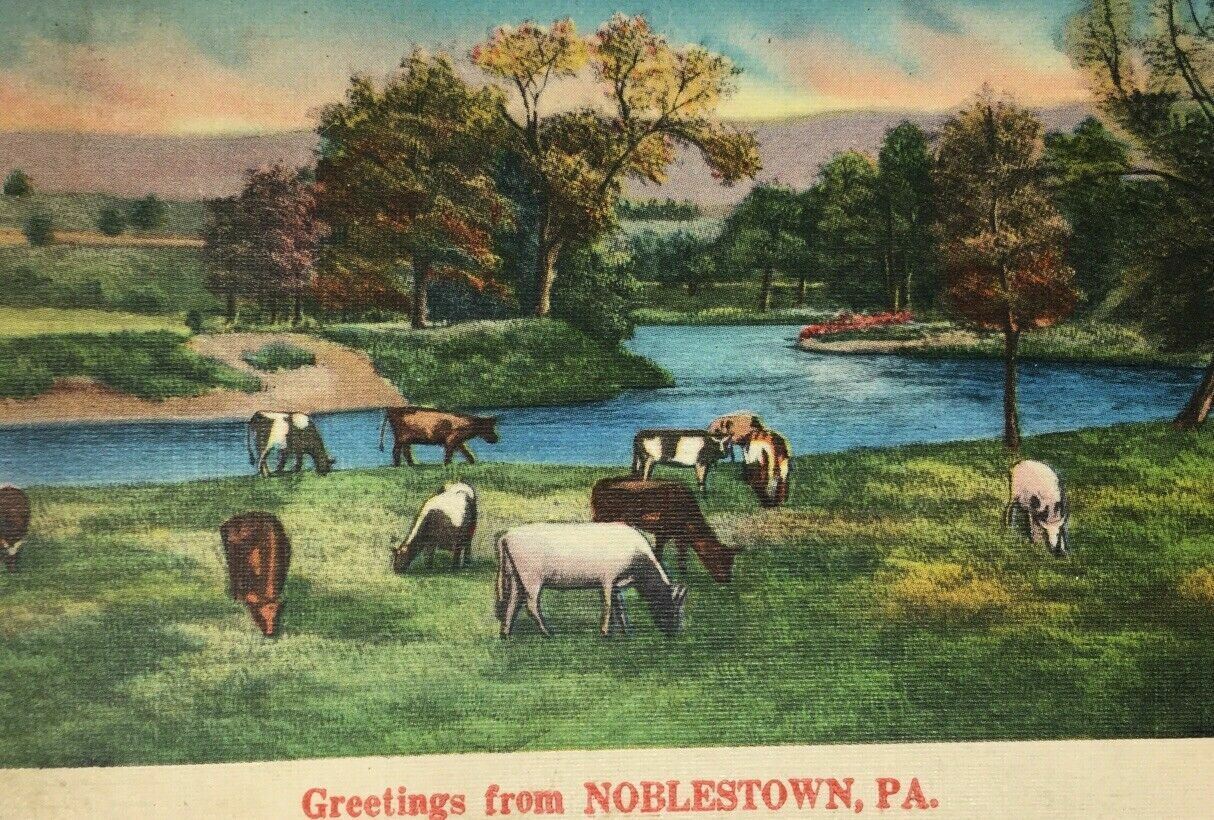 Noblestown PA Greetings From Cows 1949 Cancel Postmark DPO