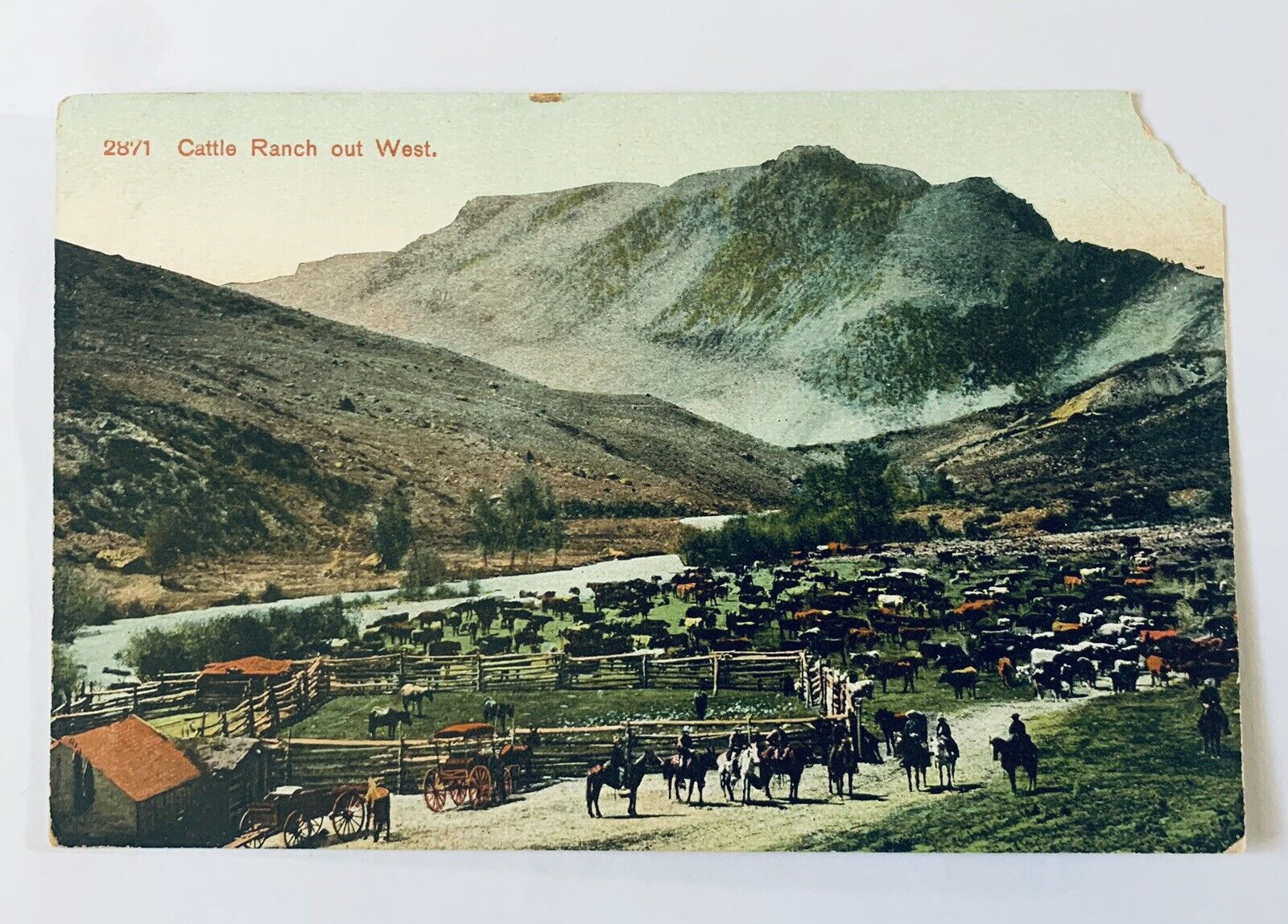 Vintage Postcard Cattle Ranch Out West 2871