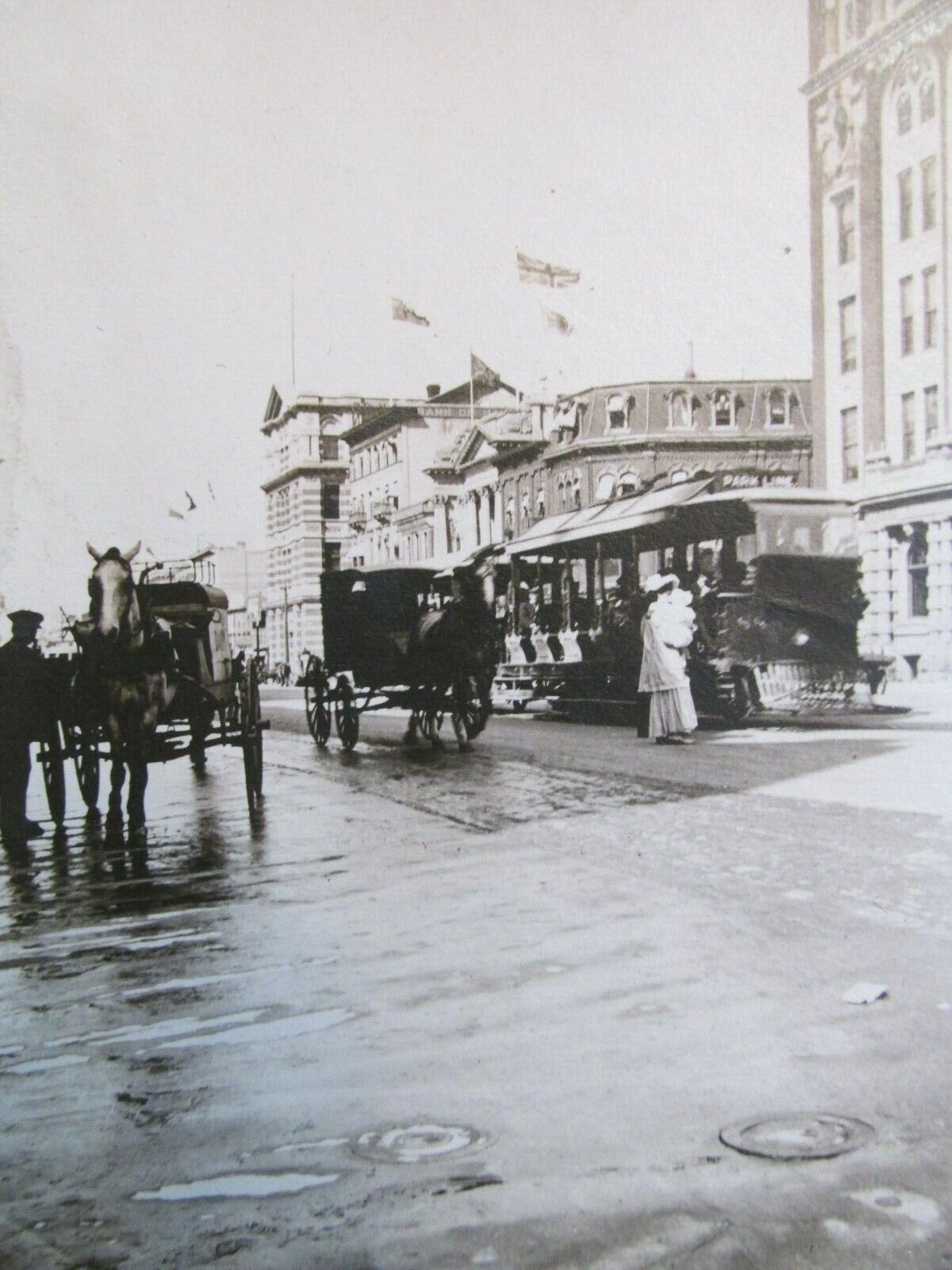 Antique Vintage Photo 1909 Queen St Winnipeg Canada Street Scene Trolley Horses