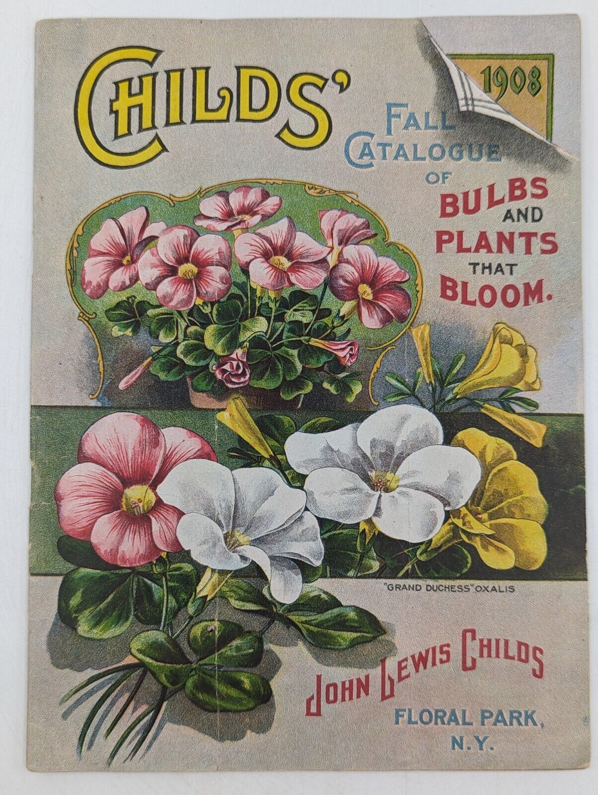 1908 CHILDS' Fall Catalogue (Vintage Orig.) John Lewis Childs - Floral Park, NY