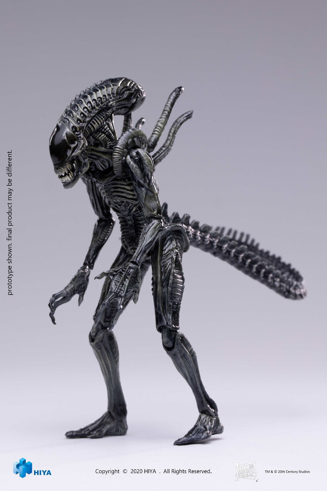 Hiya Toys Alien vs Predator Requiem Xeno Alien Warrior Figure