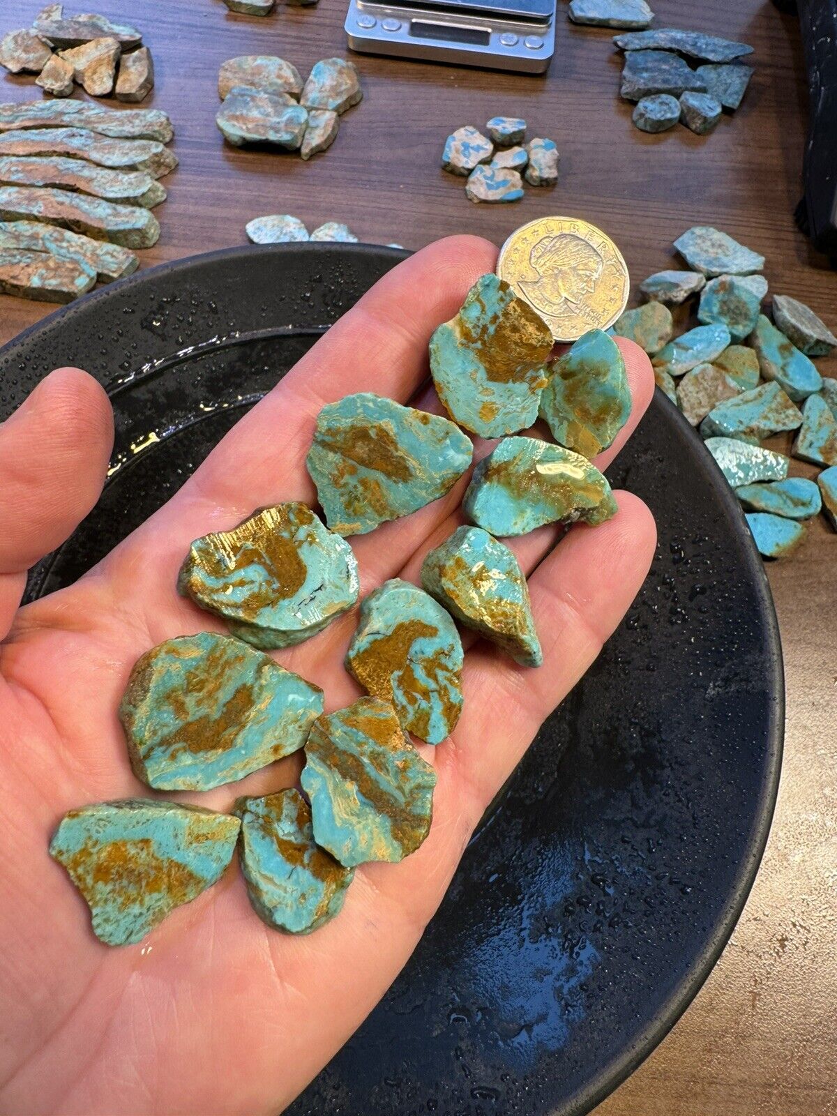Turquoise Mountain Turquoise.  61 Grams Of slabs Get What You See Classic Red