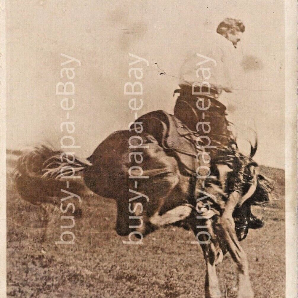 Vintage 1900s RPPC Giles Essex On Outlaw Horse Bronco Cowboy Western Postcard