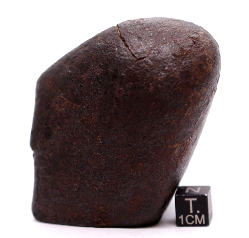 Meteorite NWA Chondrite Meteorite 266 grams