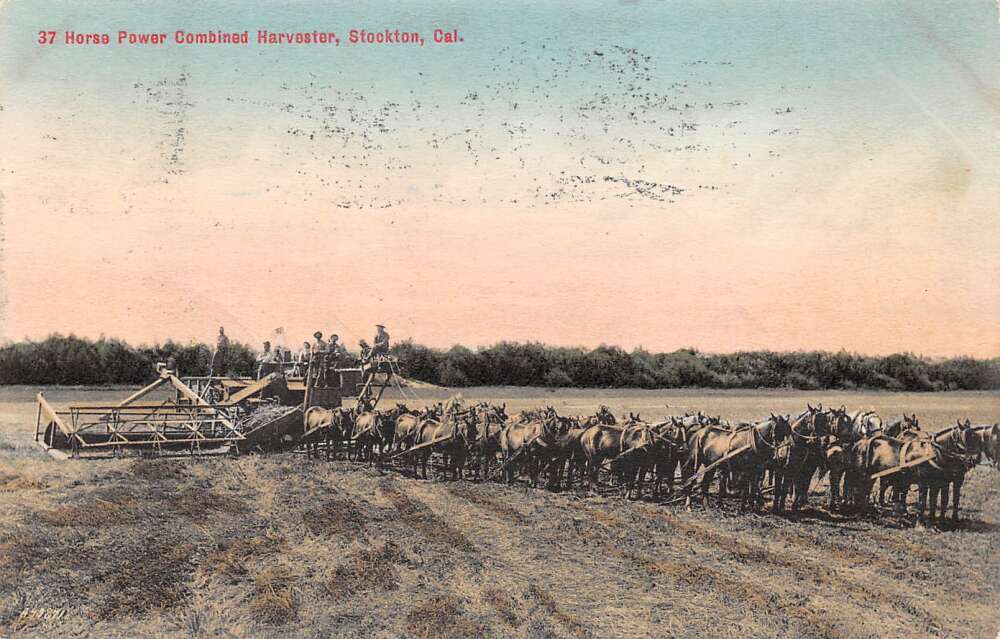 Stockton California 37 Horse Power Combined Harvester, Vintage Postcard U18167