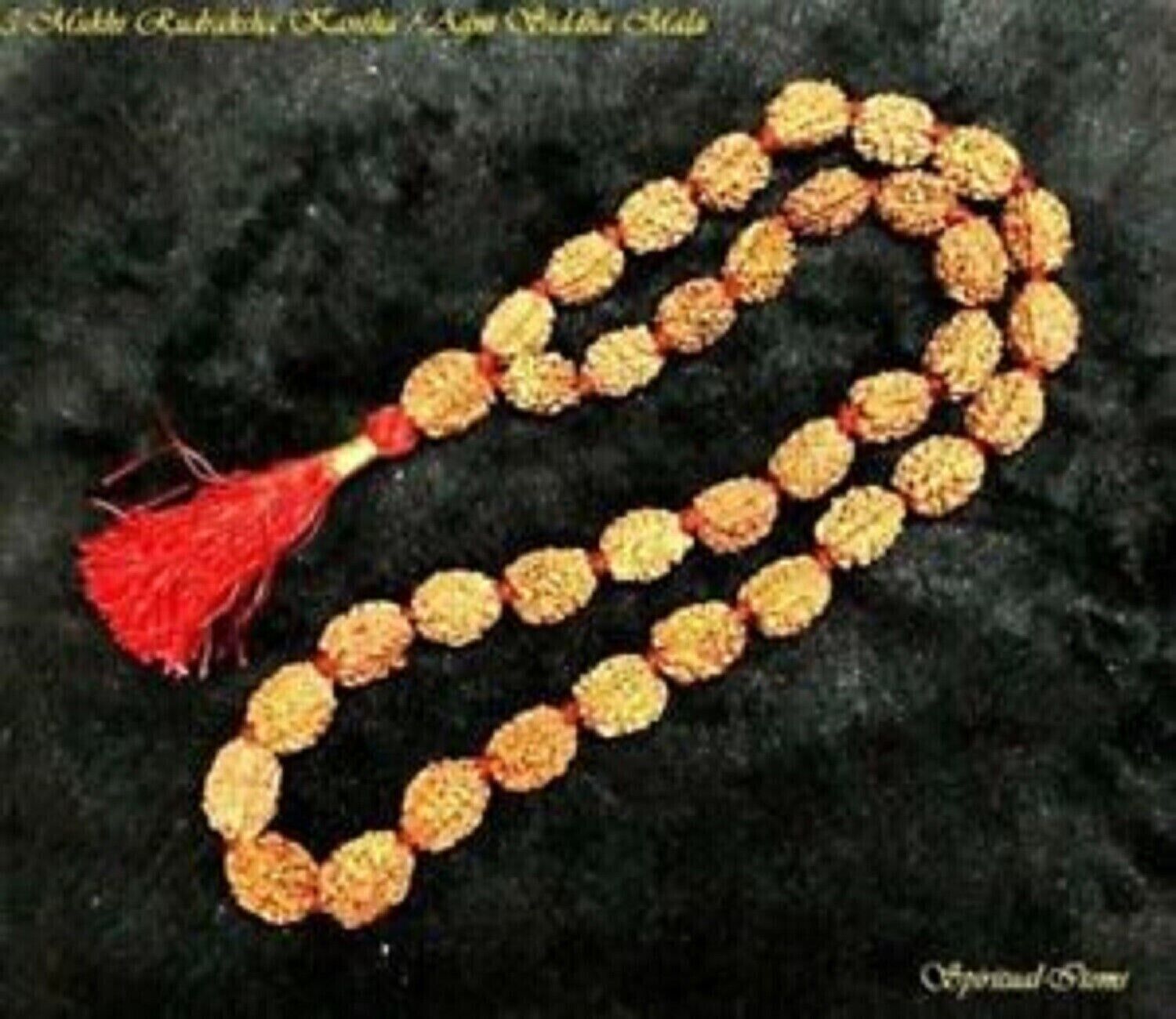 Grade A+ 2 Mukhi Rudraksha Kuber Blessing Mala with 36+1 Beads for Wealth