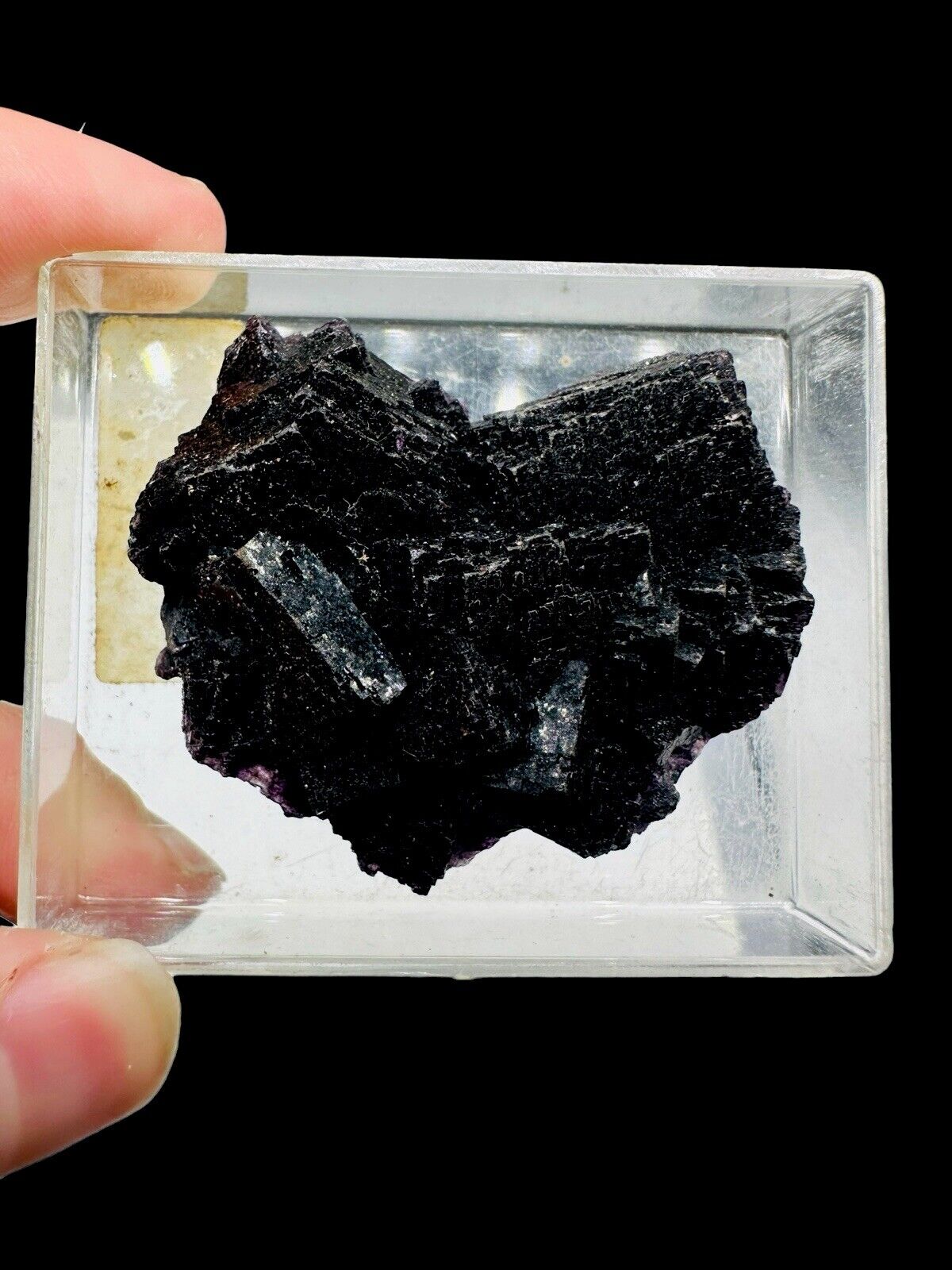 Dark Purple Fluorite Xls : Marienschacht Mine. Wolsendorf. Bavaria, Germany 🇩🇪