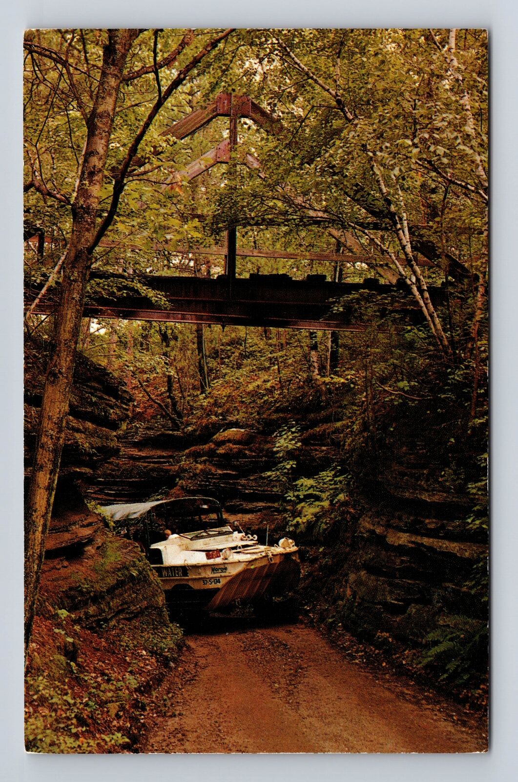 Wisconsin Dells WI-Wisconsin, Wisconsin Ducks, Red Bird Gorge Vintage Postcard