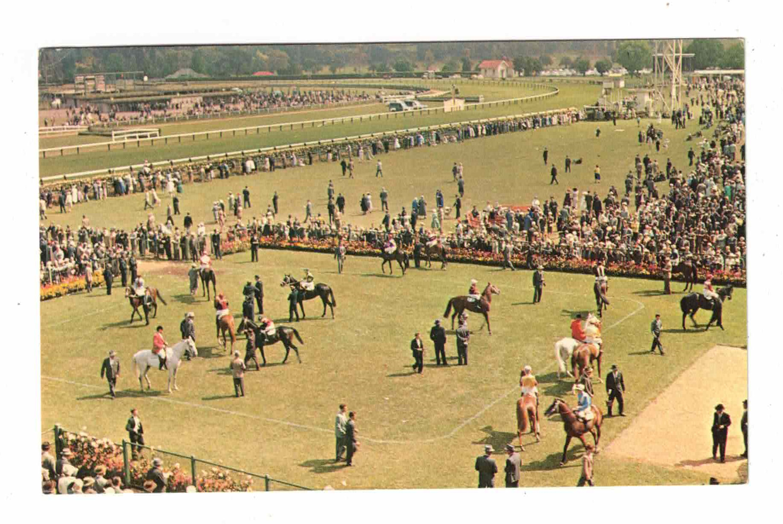 Vintage Postcard - c1950s - Flemington Race Course. Melbourne, Vic. Pub. Murfett