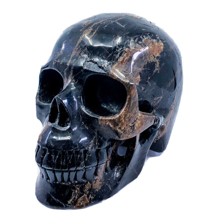 Stunning 5 Inch Black Tourmaline Artisan Crystal Skull Carving Gemstone 1152g