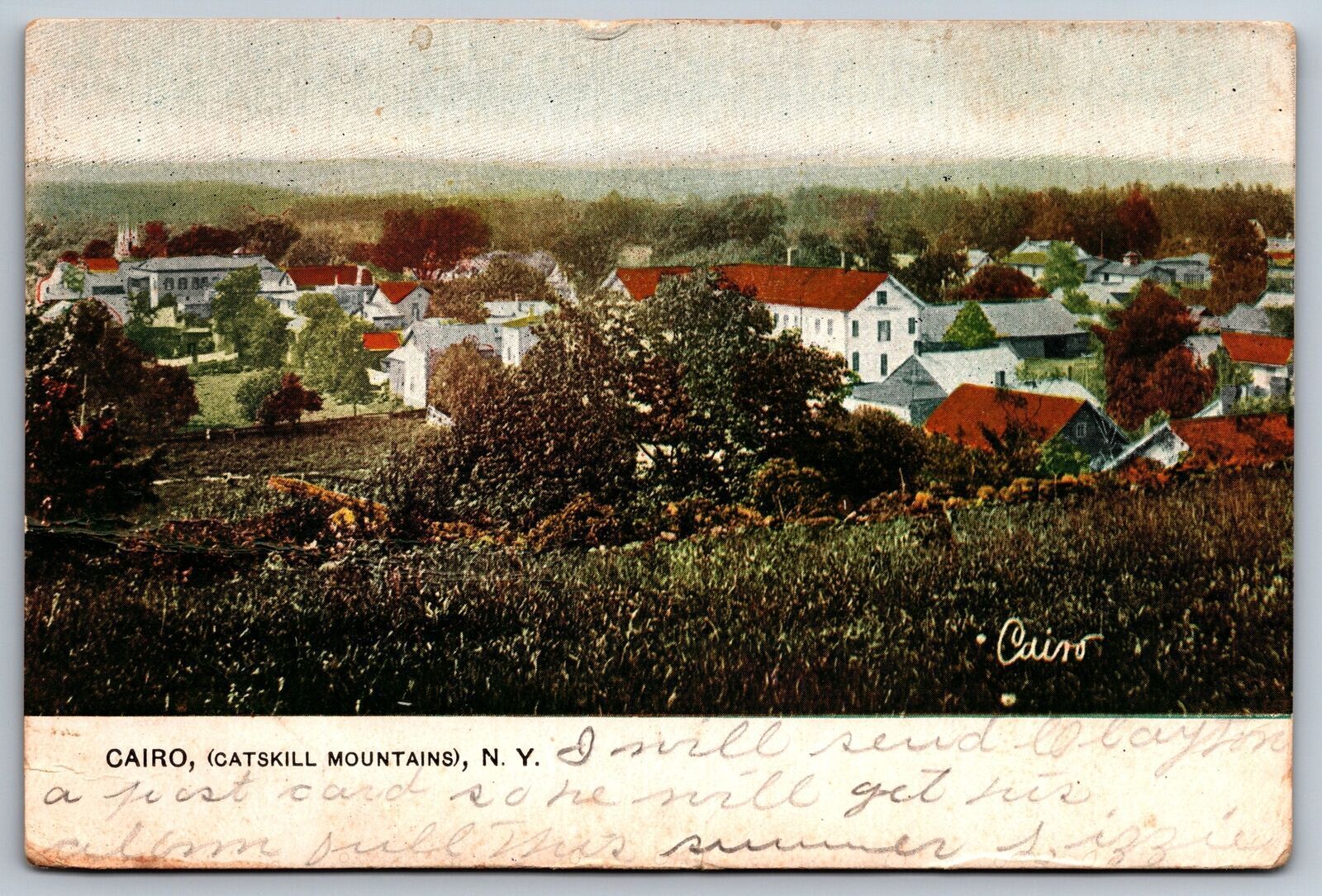 Vintage Postcard Residence Houses Trees Cairo Catskill Mountains New York NY
