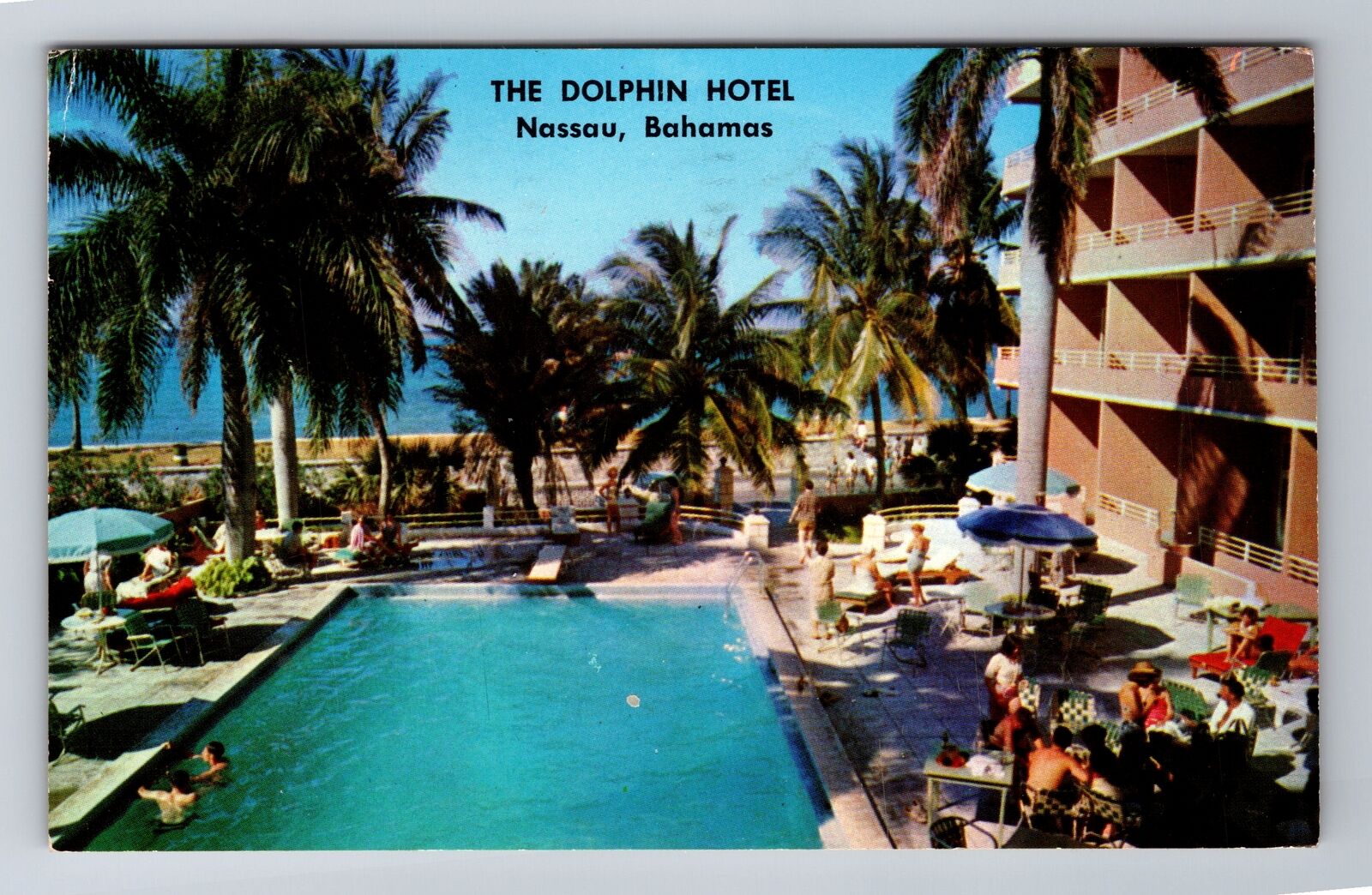 Nassau-Bahamas, the Dolphin Hotel, Advertising, Vintage Souvenir Postcard