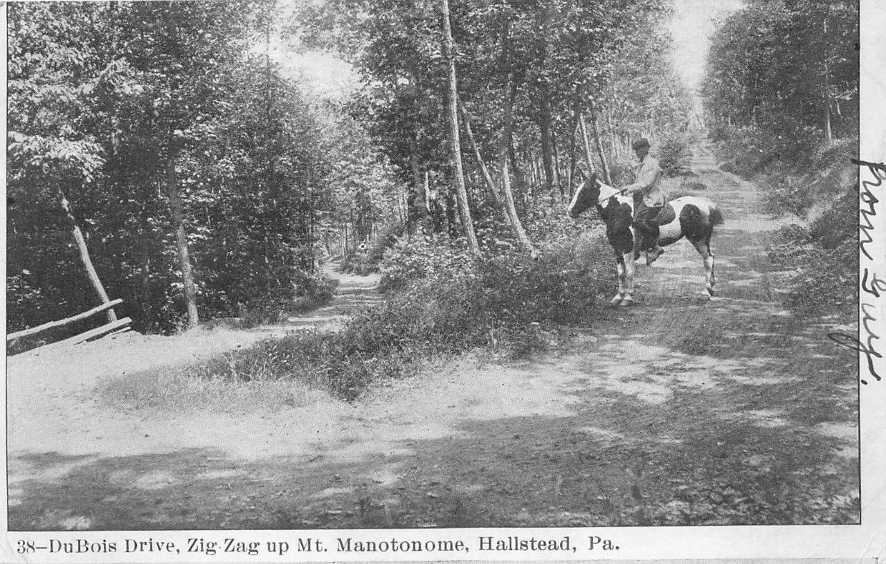 DUBOIS DRIVE ZIG ZAG UP  MANOTONOME HALLSTEAD PENNSYLVANIA HORSE POSTCARD (1905)
