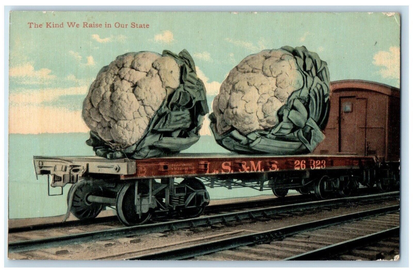 Exaggerated Cauliflower LS&MS Train The Kind We Raise In Our State Postcard