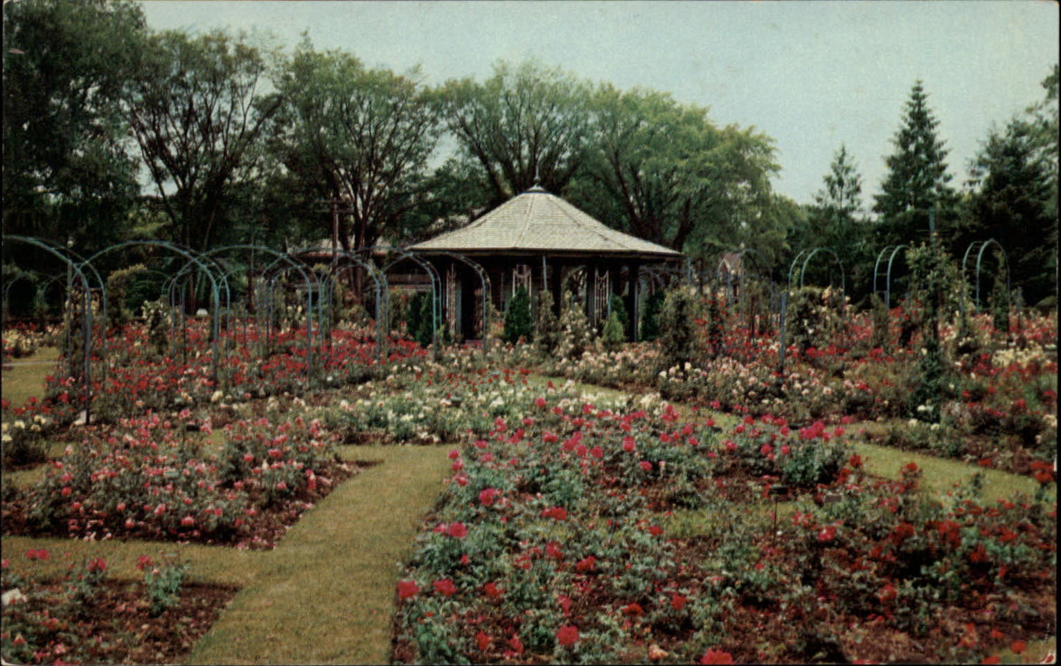 Syracuse New York Mills Rose Garden Thornden Park unused postcard