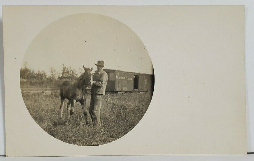 Man with Horse Posing at Railroad Boxcar Real Photo c1910 Postcard P1
