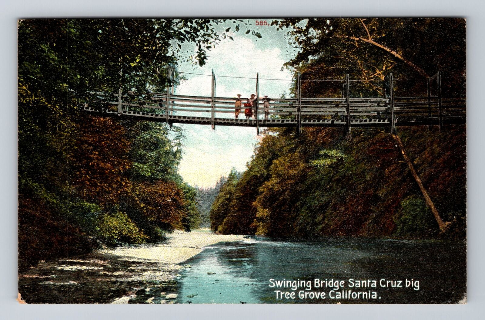 Tree Grove CA-California, Swinging Bridge, Santa Cruz, Antique Vintage Postcard
