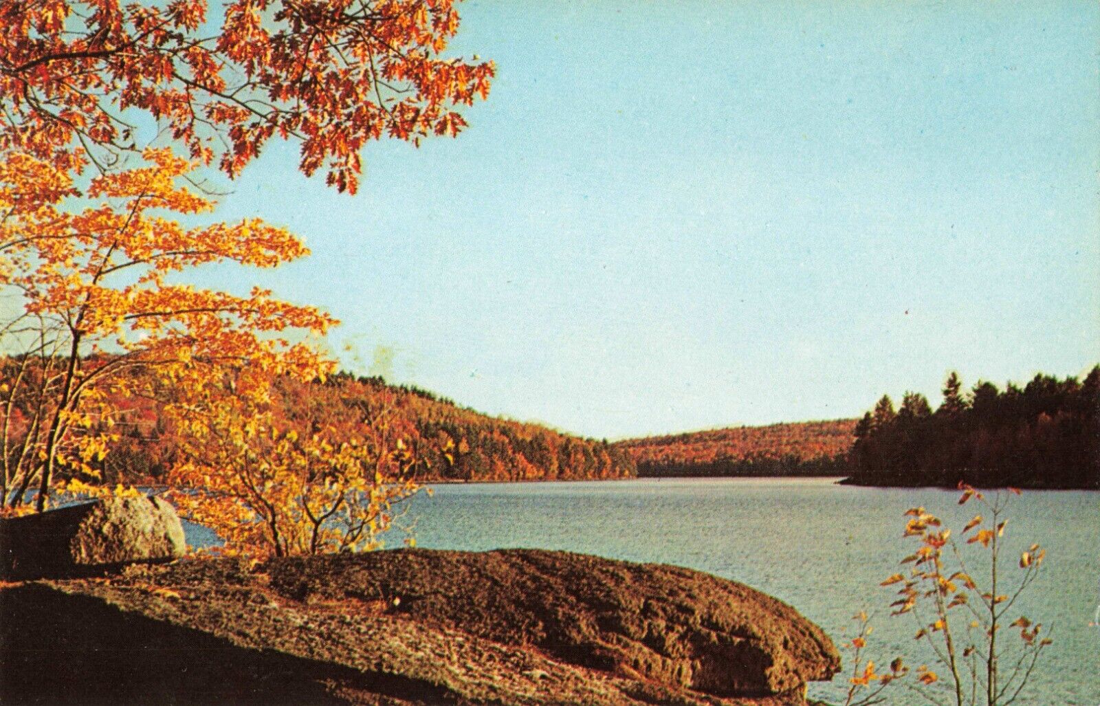 Antrim NH New Hampshire, Gregg Lake, Fall Foliage, Vintage Postcard