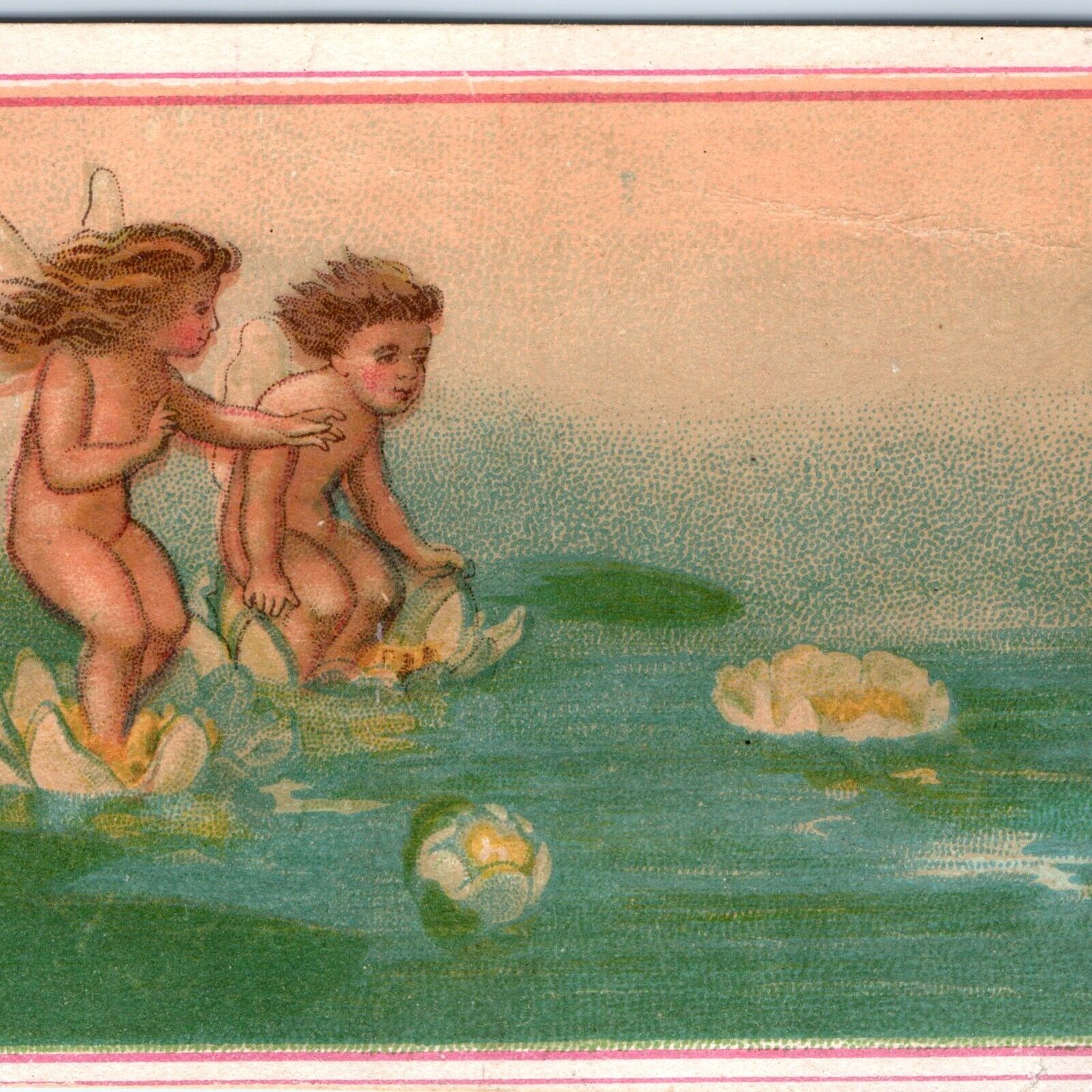 c1880s Somerville, NJ Cute Water Lily Boy & Girl Cherubs Colyer Trade Card C34