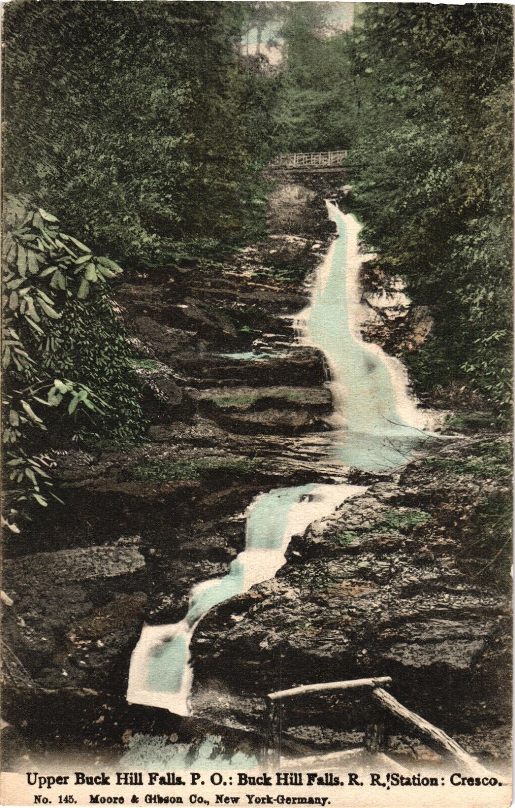 Upper Buck Hill Falls Cresco PA Divided Postcard c1907