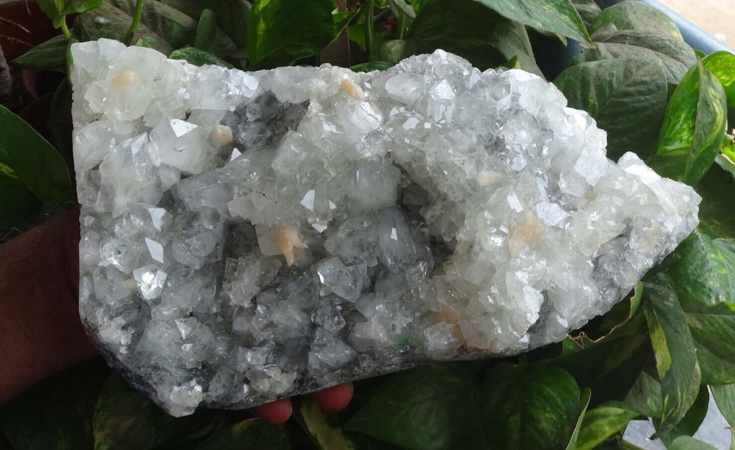 Apophyllite On Stilbite Chalcedony Minerals Specimen India