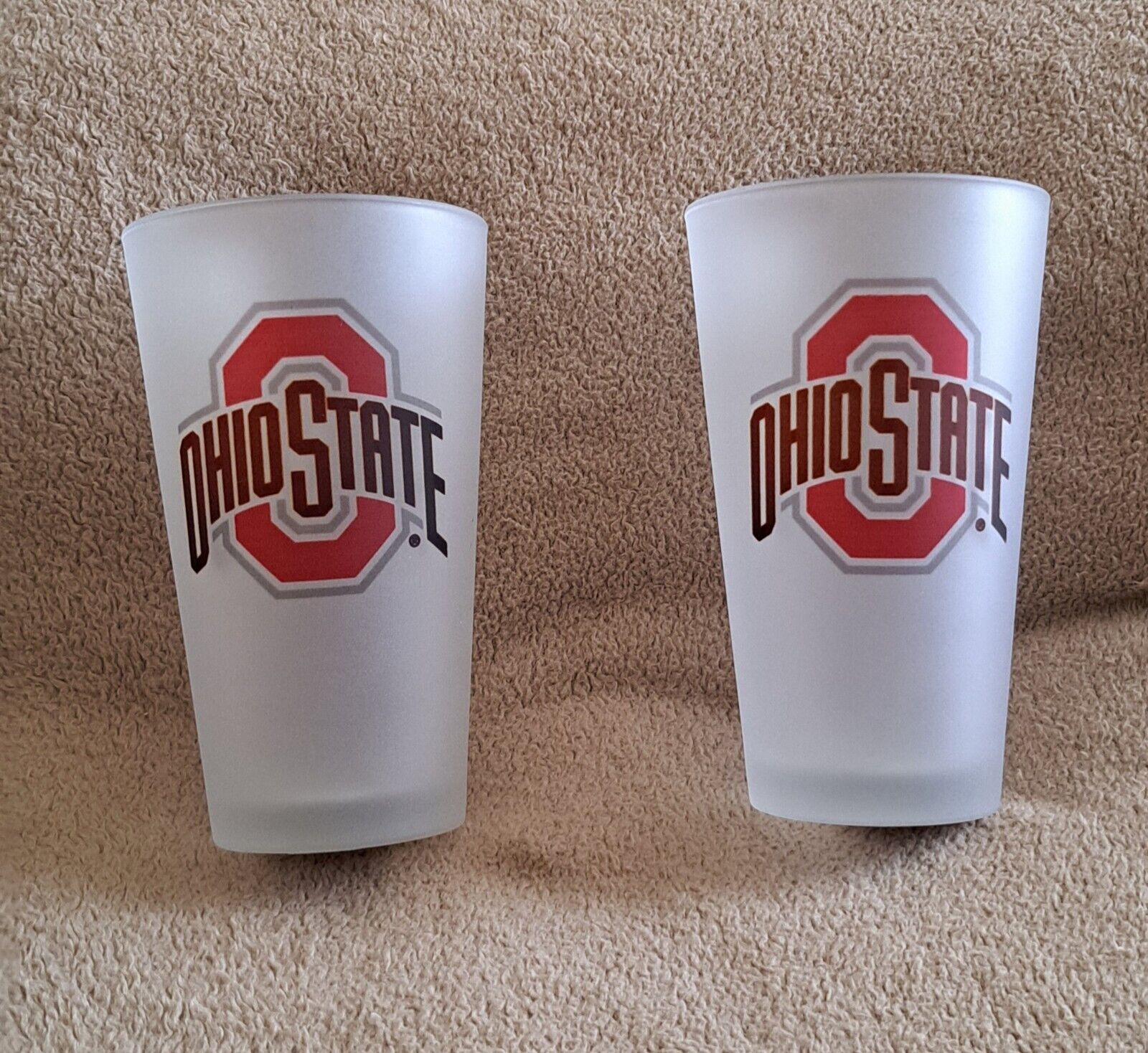 Set of 2 Ohio State Frosted Glass Tumblers - NWT