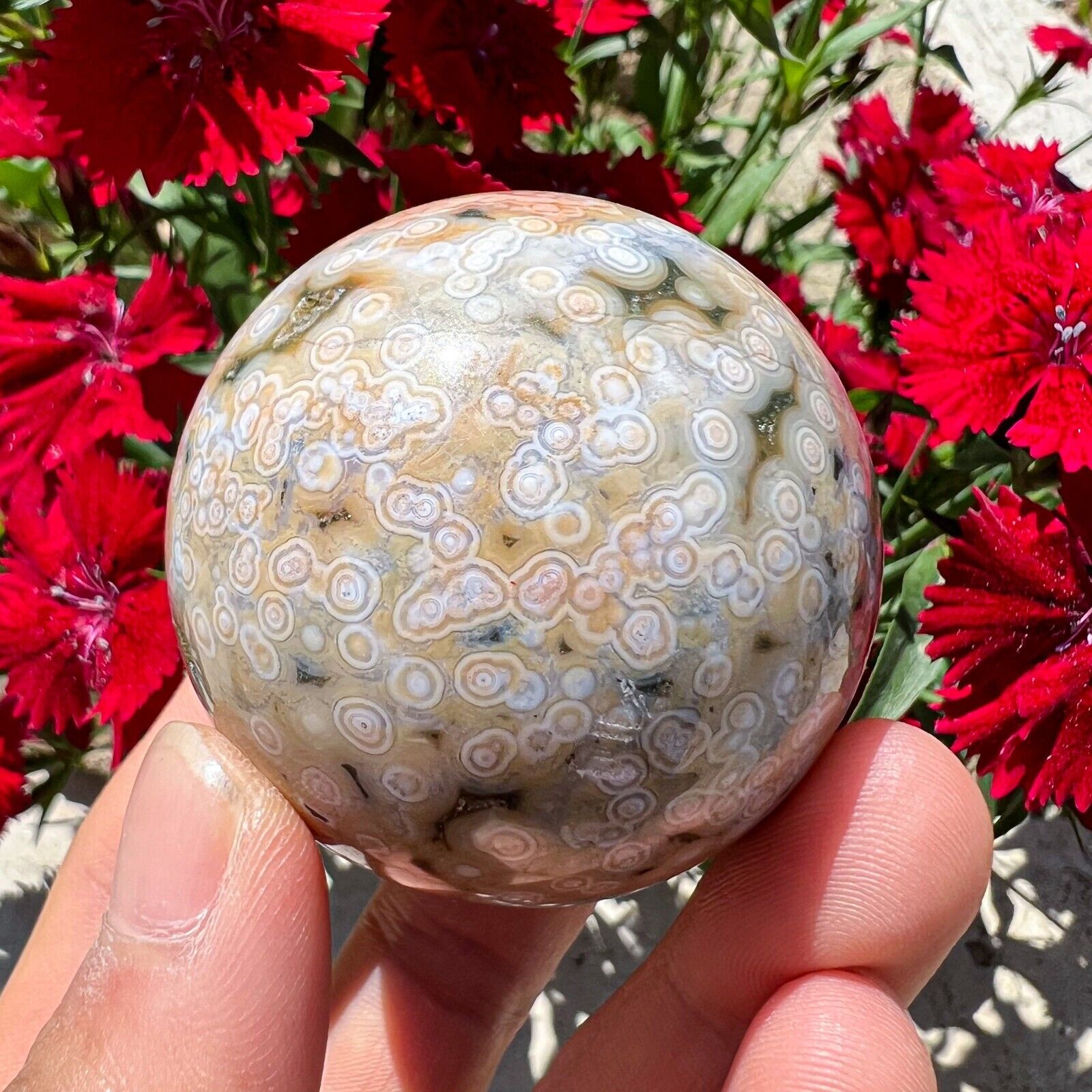 182g Rare Natural 8th Vein Ocean Jasper Sphere Quartz Crystal Ball Reiki Stone