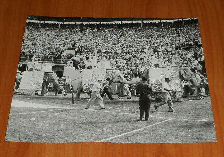 1960 Press Photo Miami Orange Bowl Halftime Show Live Elephant Caravan