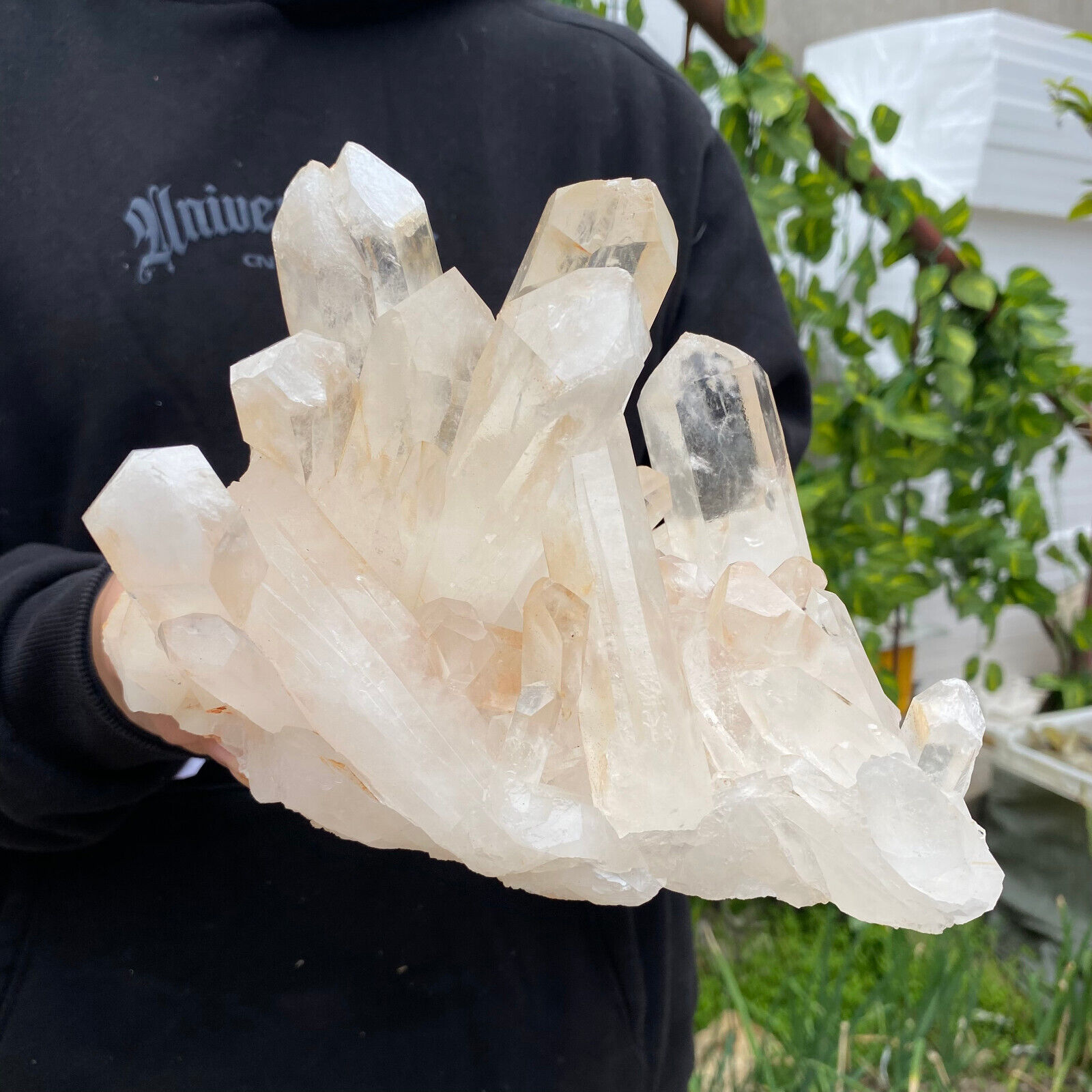 6lb Large Natural Clear White Quartz Crystal Cluster Rough Healing Specimen