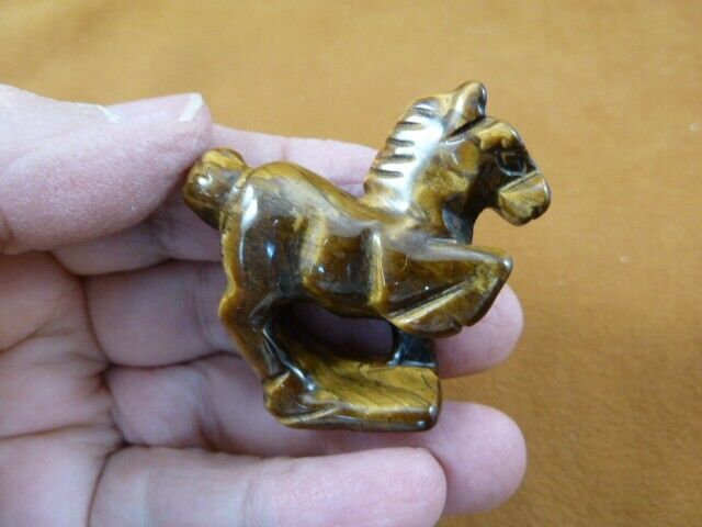 (Y-HOR-P-558) Golden brown tiger\'s eye HORSE gemstone figurine stone wild horses