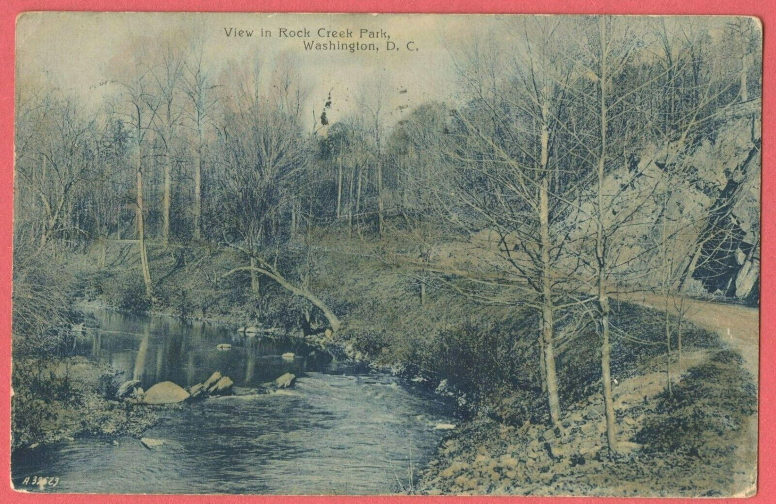 View in Rock Creek Park 1908 Washington DC Postcard