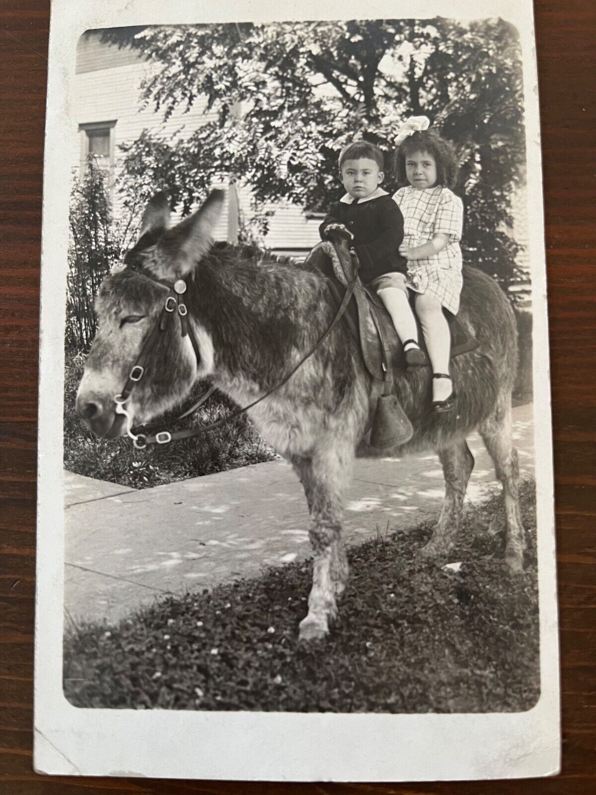 Antique RPPC Children on Donkey Photo Postcard