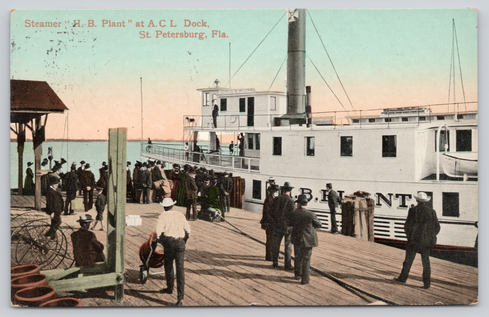 Postcard St. Petersburg, Steamer H.B. Plant at A.C.L. Dock A736