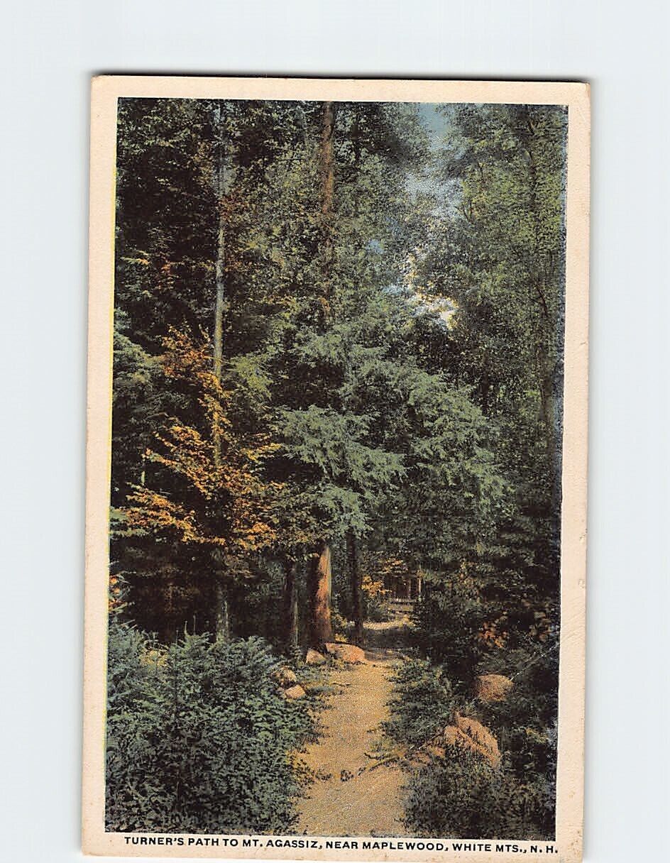 Postcard Turner\'s Path to Mount Agassiz near Maplewood White Mountains NH USA