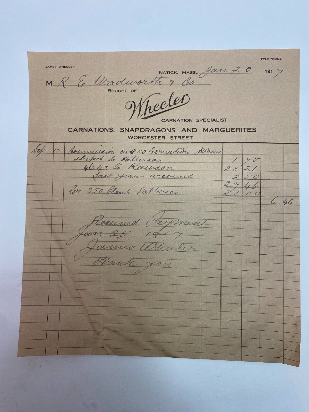 Wheeler Carnation Specialist - Natick, MA - 1917 Handwritten Invoice Billhead