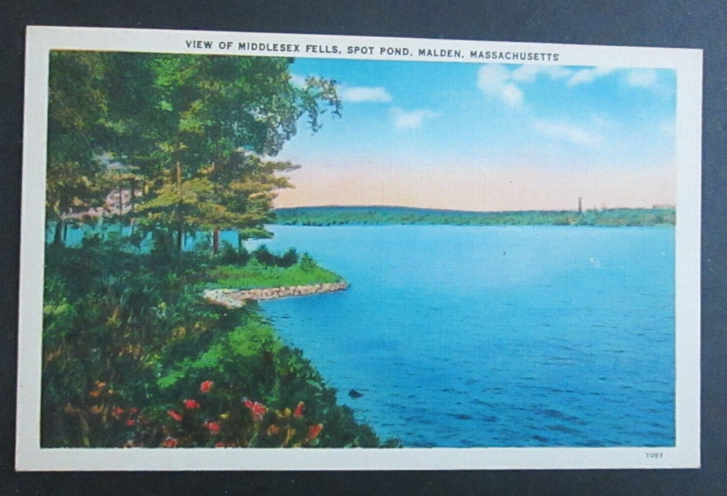 View of Middlesex Fells Malden MA Unposted Linen Postcard