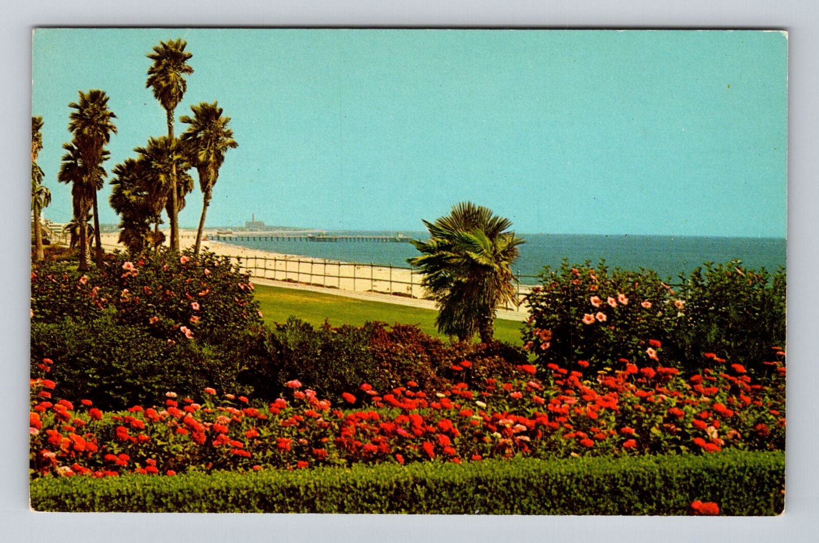 Long Beach CA-California, Walk along Long Beach, Bluff Park, Vintage Postcard