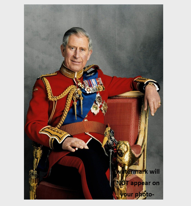 King Charles III PHOTO Prince Charles United Kingdom Portrait Photo