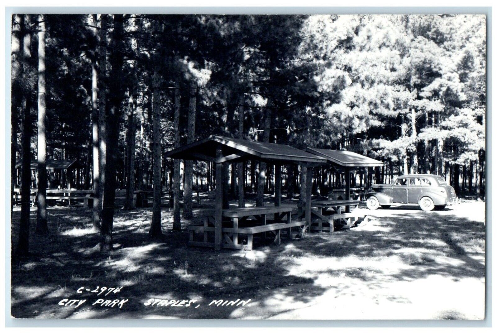 c1940\'s City Park Trees And Car Scene Staples Minnesota MN RPPC Photo Postcard