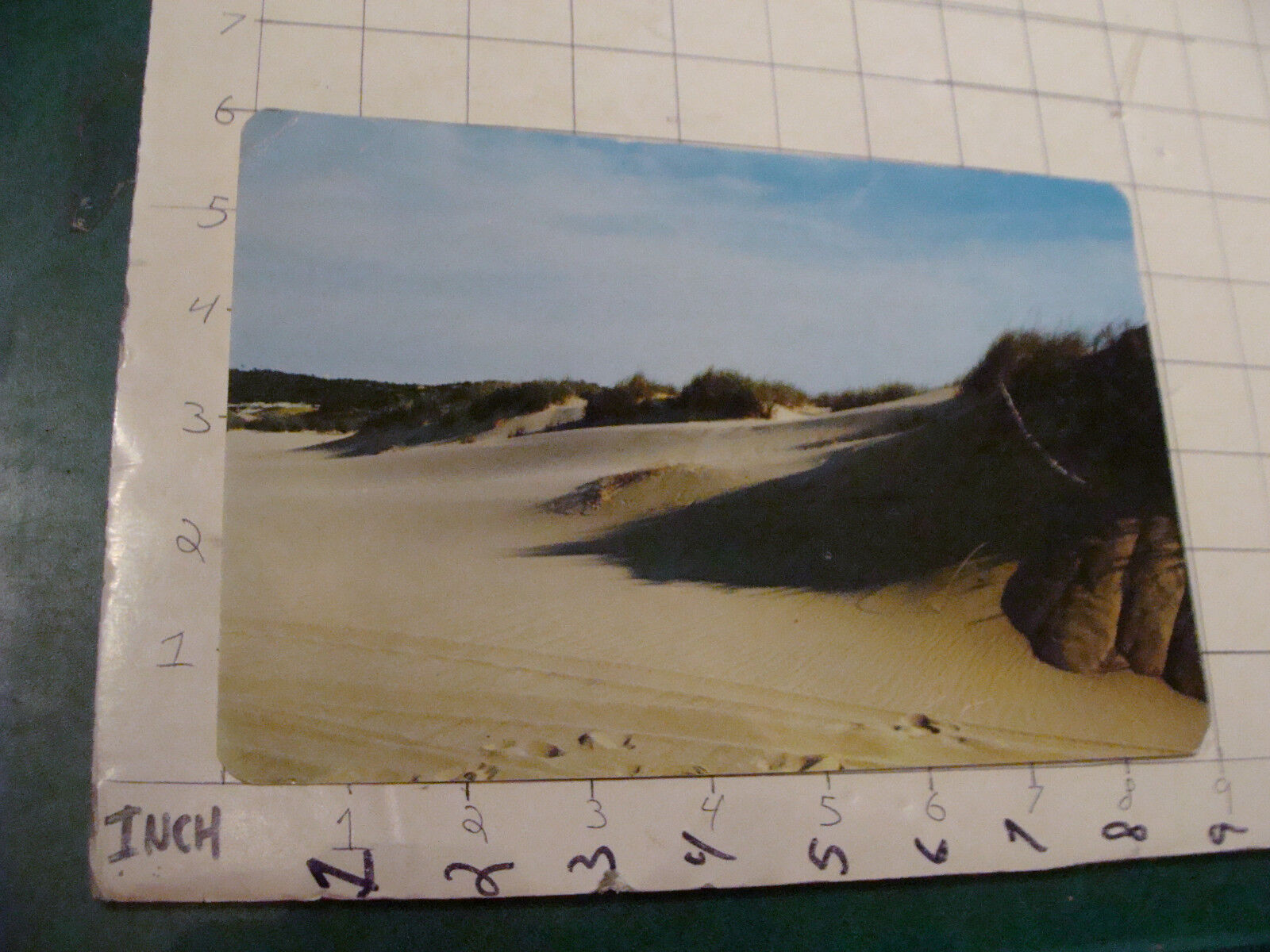 Vintage postcard; UNUSED large----Shadows on the dunes, CAPE COD MASS