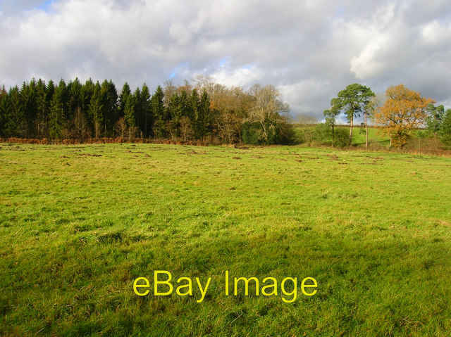 Photo 6x4 Field near Hastings Wood West Hoathly The evergreen firs contra c2007